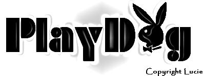 playdog