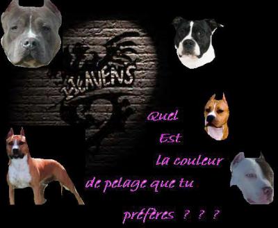 vous preferre la quel