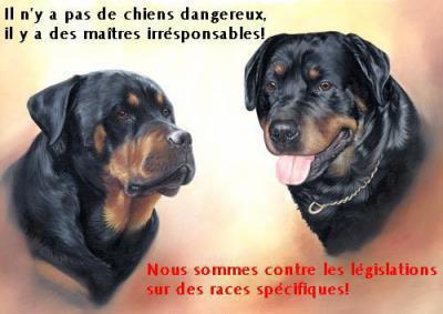attention ont ait trop gentil