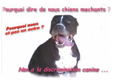 POURQUOI
