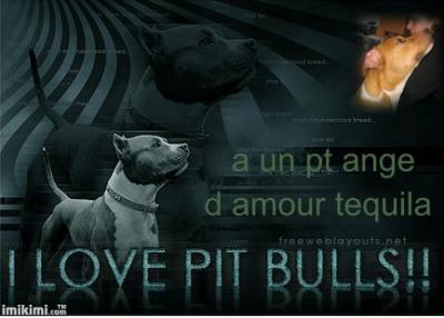 belle image