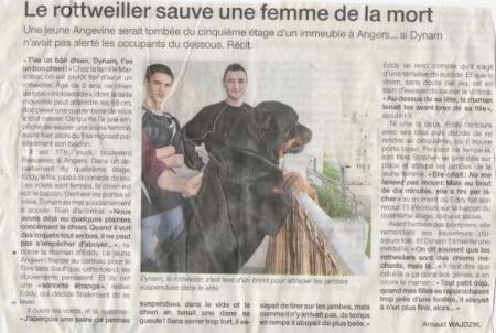 le rottweiller