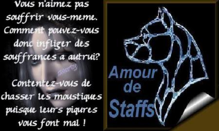 juste l'amour tu chien