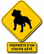 juste un ptit staffie gâté juste ça 
