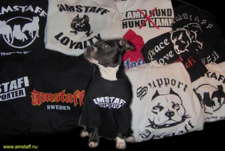 AVENDRE chien avec pul le tout pour 300