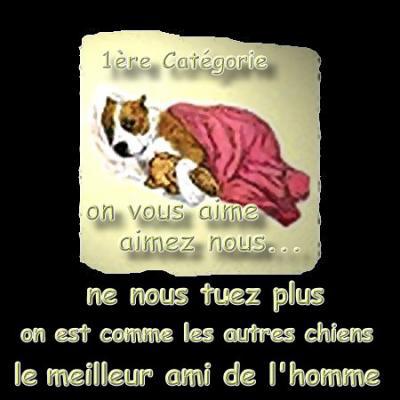 c'est juste une autre race 