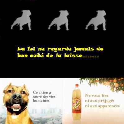 pffffff ! vous ne conprenait pas